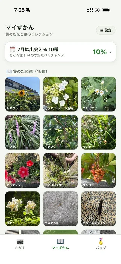 アプリの画面: あつめた花と虫がならぶマイずかん