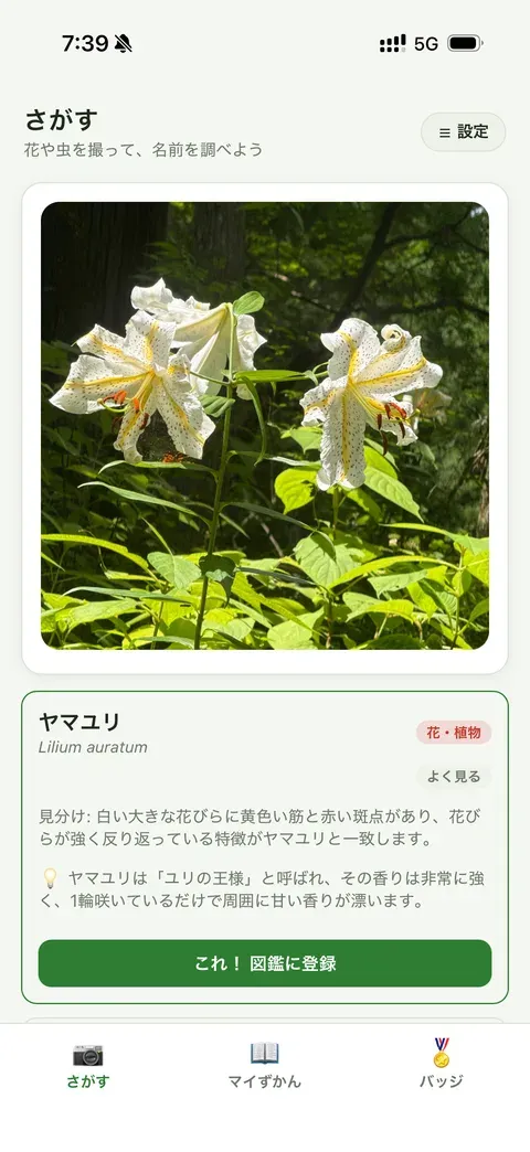 アプリの画面: AIが名前とやさしい解説を教えてくれたところ