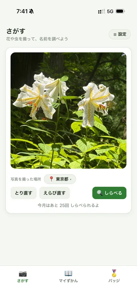 アプリの画面: 写真をえらんで、しらべるボタンを押すところ